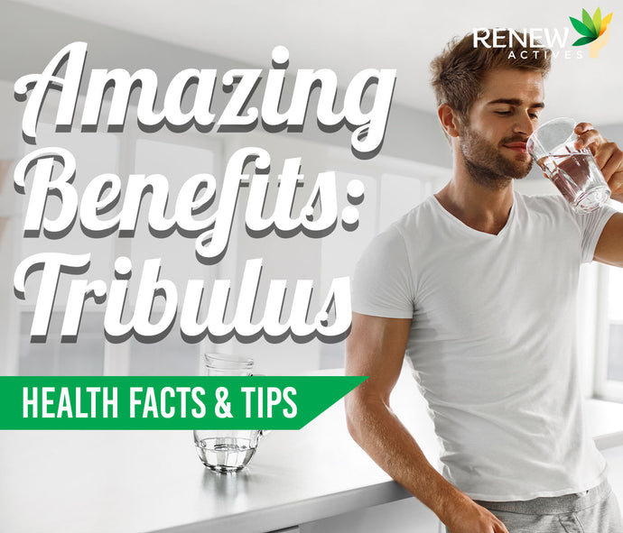 The Amazing Benefits of Tribulus Terrestris