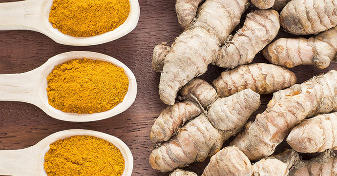 Turmeric and the Gallbladder