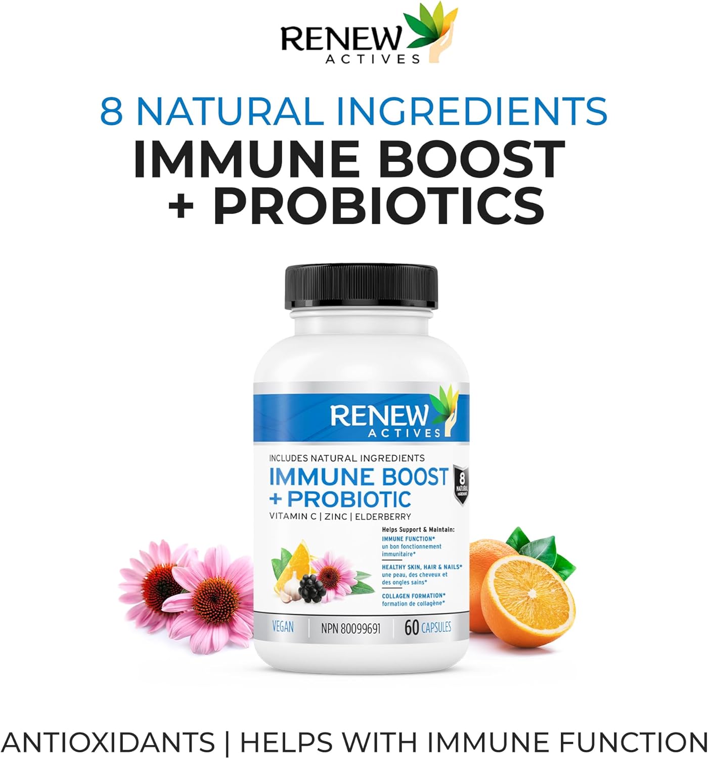 Renew Actives Wellness Support Supplement: Elderberry & Zinc