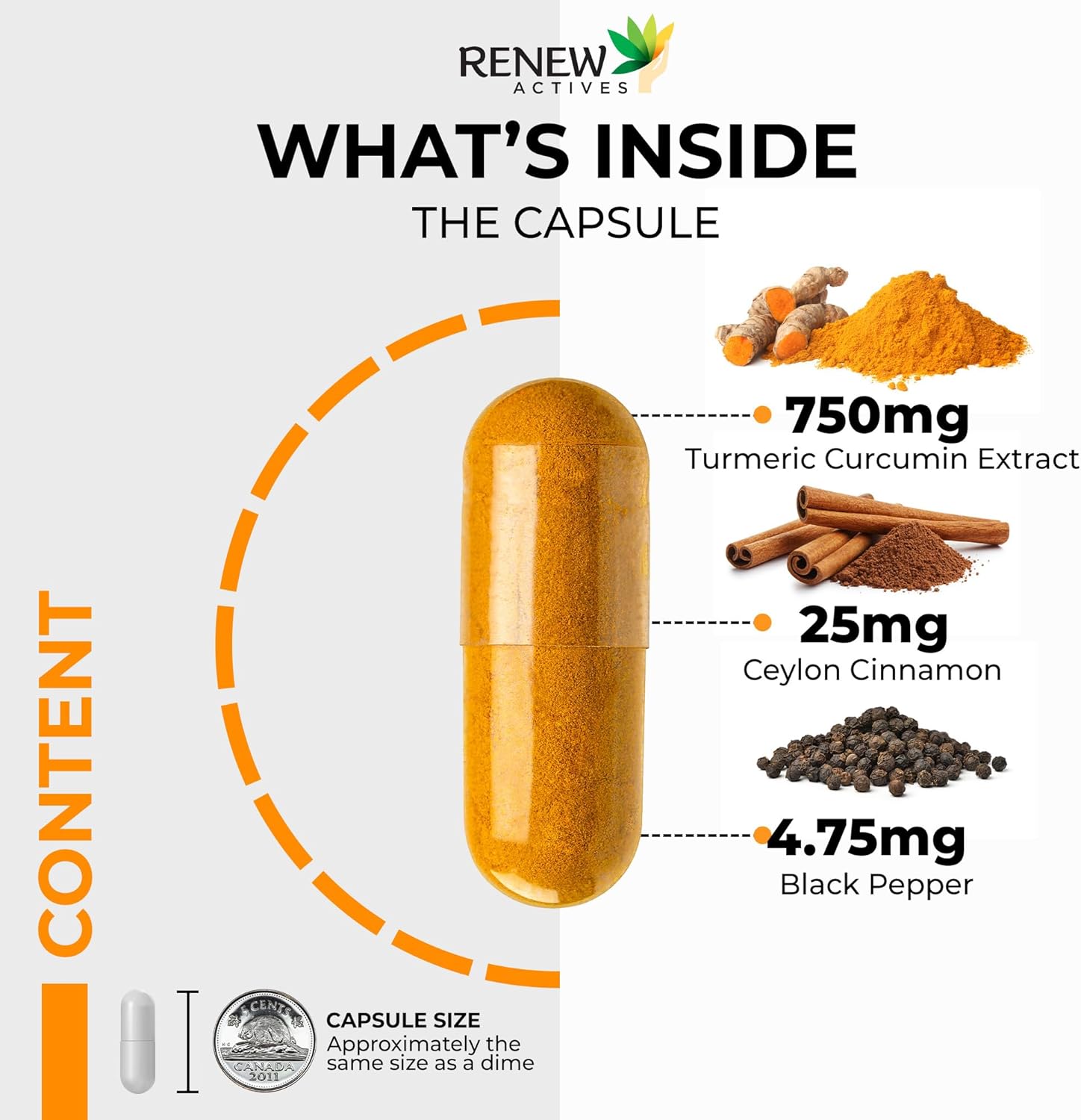 Renew Actives Turmeric Cinnamon Anti Inflammatory Supplement