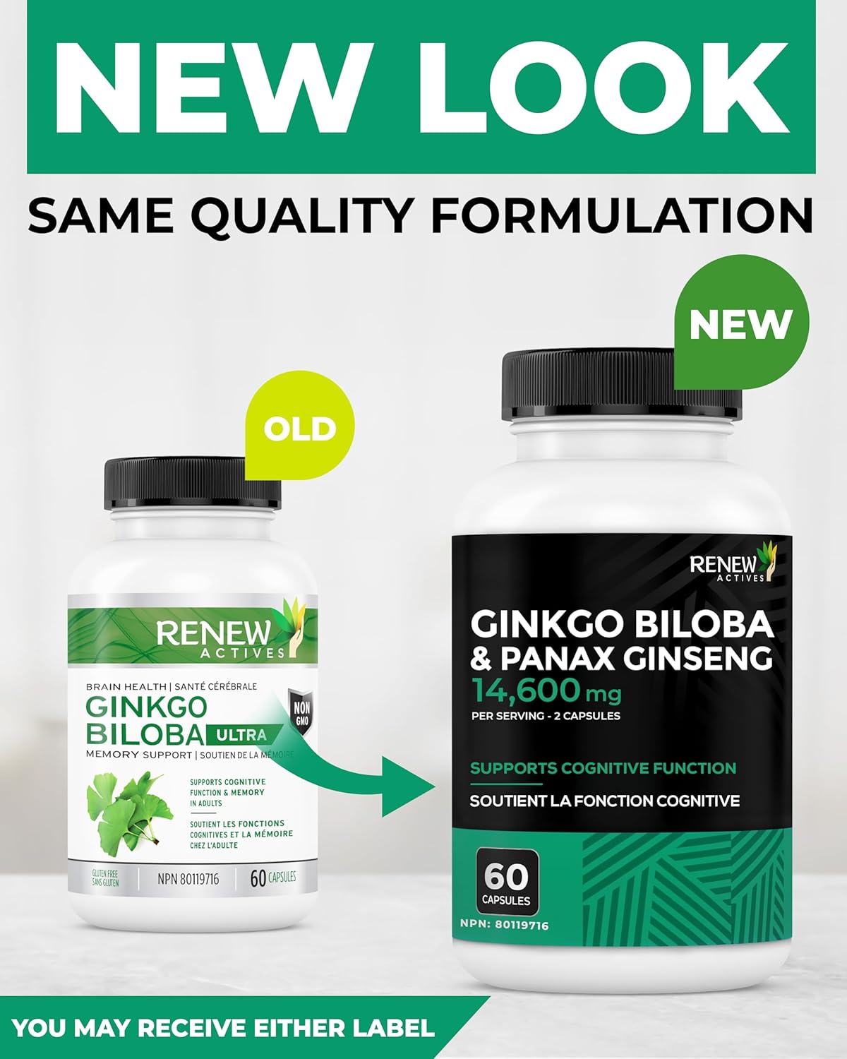 Renew Actives Ginkgo Biloba Brain Supplement w Red Panax Ginseng Extract - Brain Energy Supplements