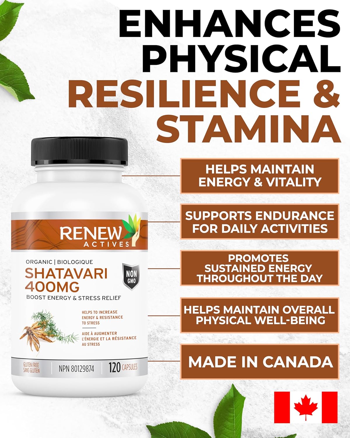 Renew Actives Shatavari 400mg – Natural Adaptogen for Energy & Vitality – 120 Capsules