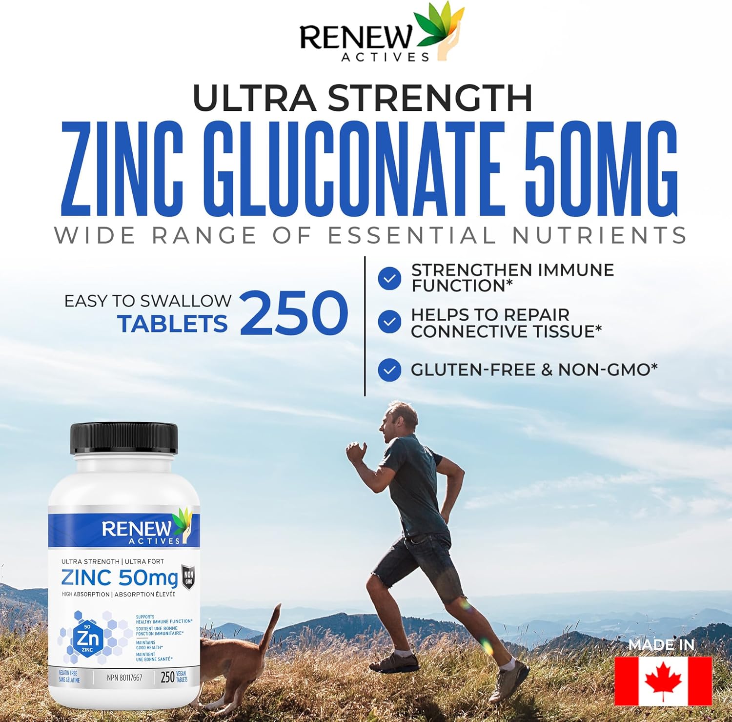 Renew Actives Zinc Supplements, 8 Month Supply (250 Count)