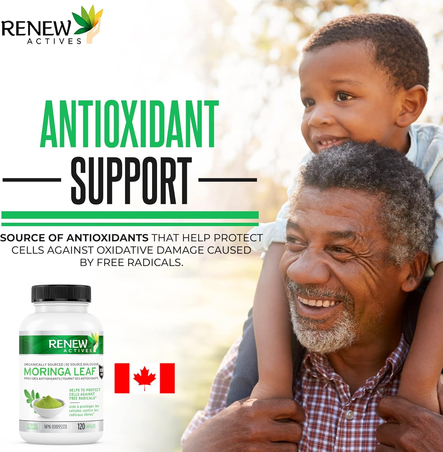 Renew Actives Organic Moringa Leaf Supplement: 120 High Potency Moringa Oleifera Capsules