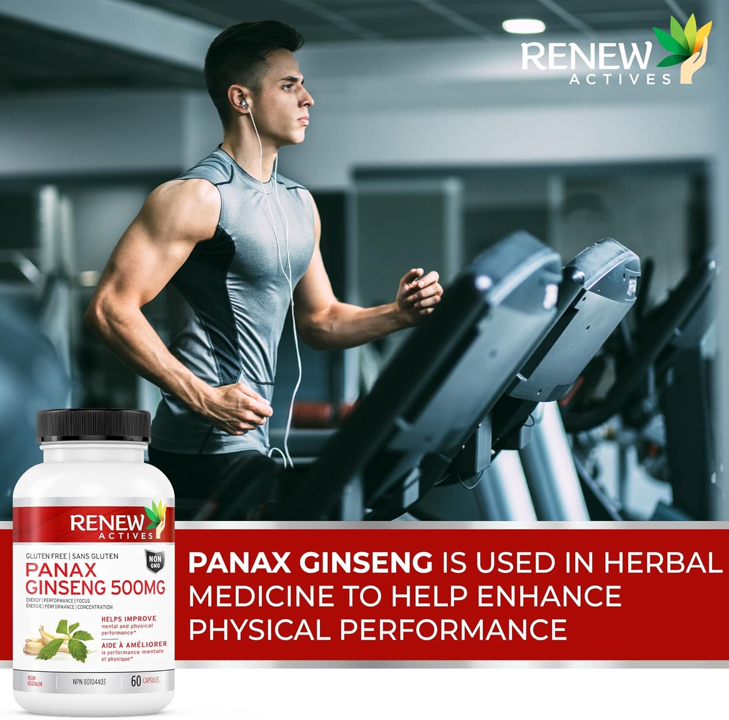 Renew Actives Panax Ginseng 500 mg