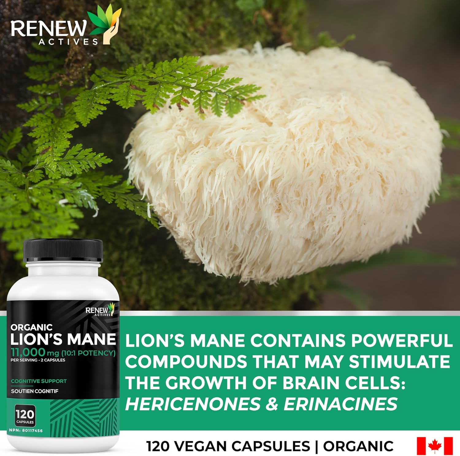 Renew Actives 1100mg Organic Lions Mane Mushroom Supplement (120 Capsules)