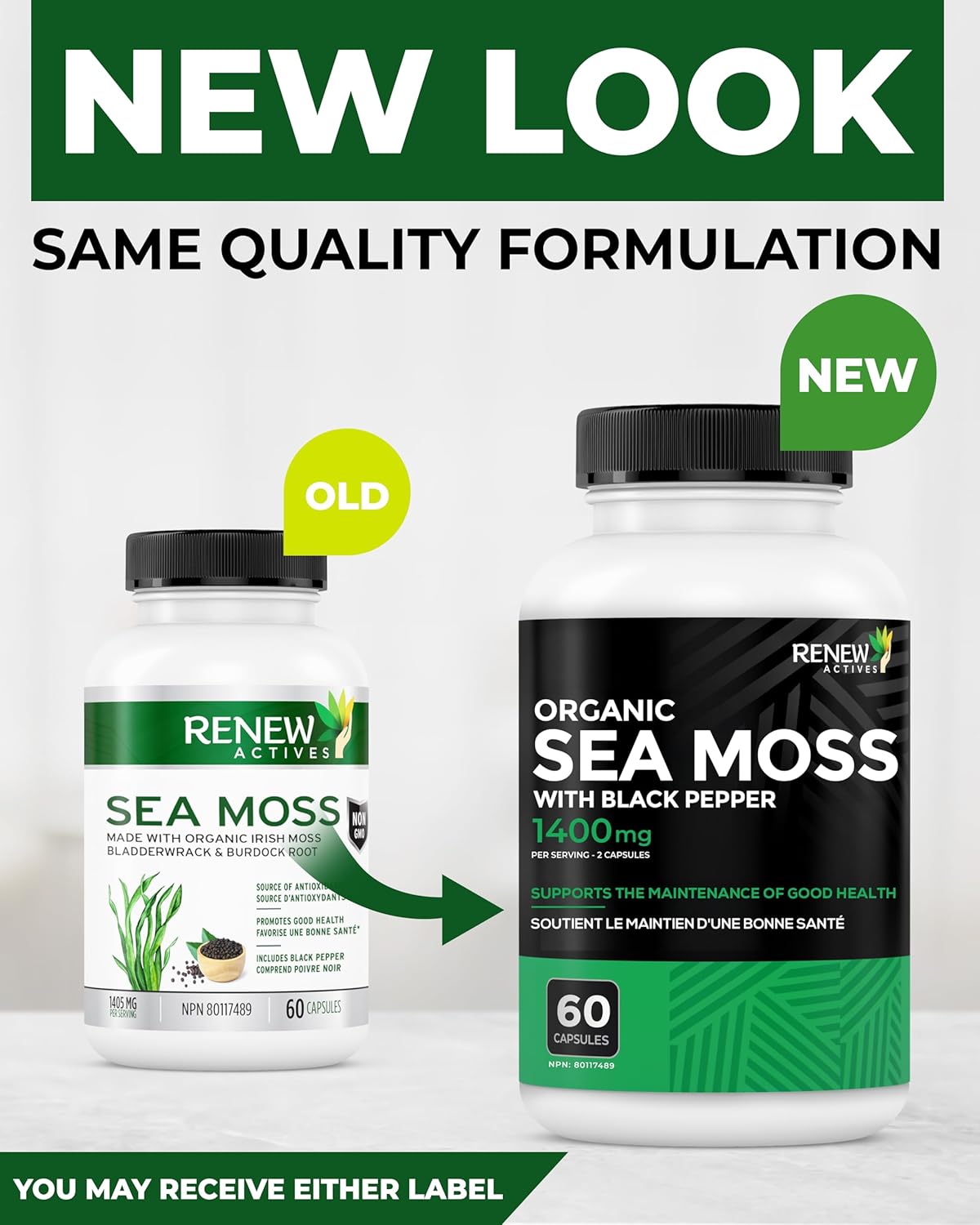 Renew Actives Sea Moss Capsules with BioPerine® for Max Absorption
