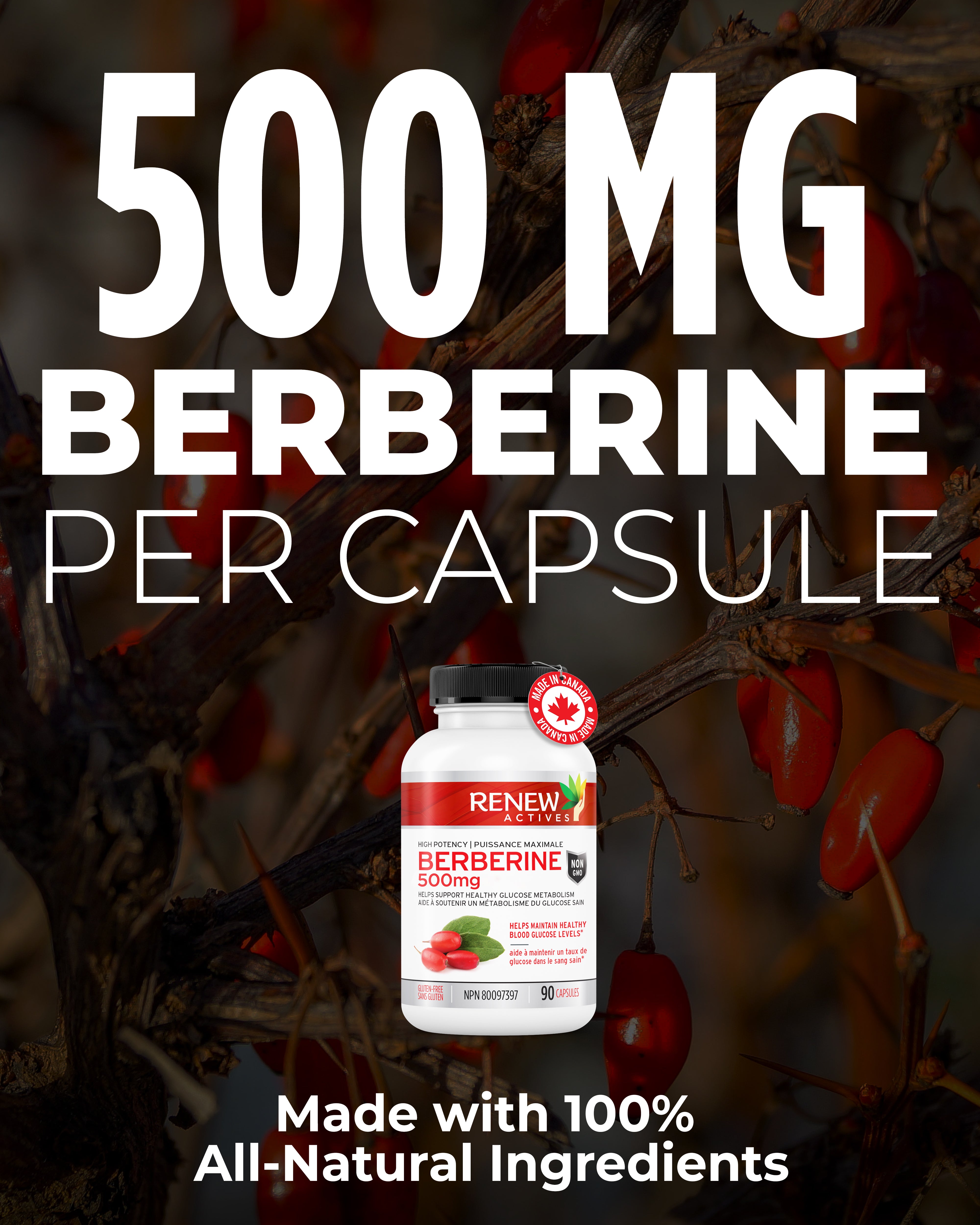 Renew Actives High Potency Berberine 500mg - 90 Capsules