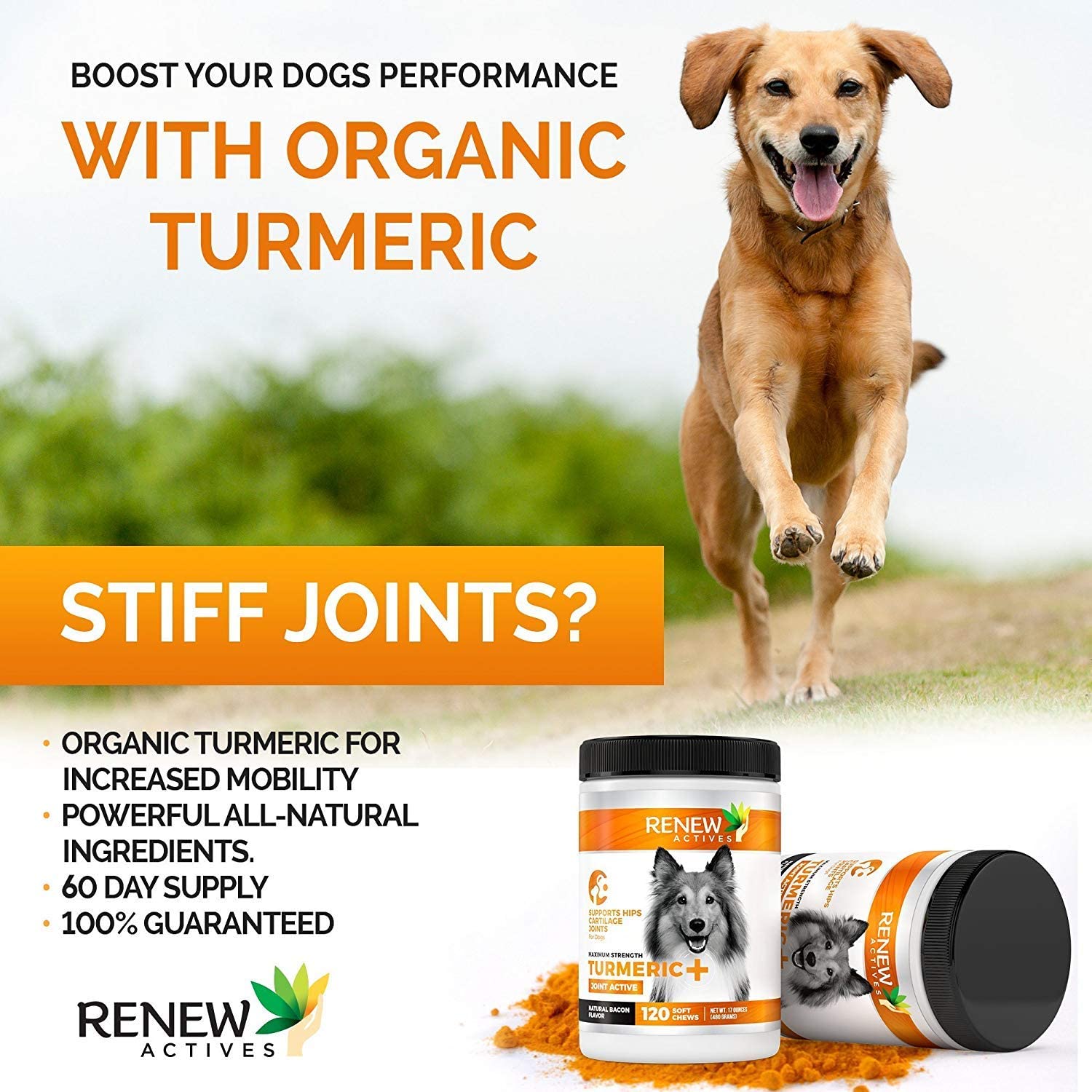 Renew Actives Dog Joint Pain Support Supplement, 120 Capsules
