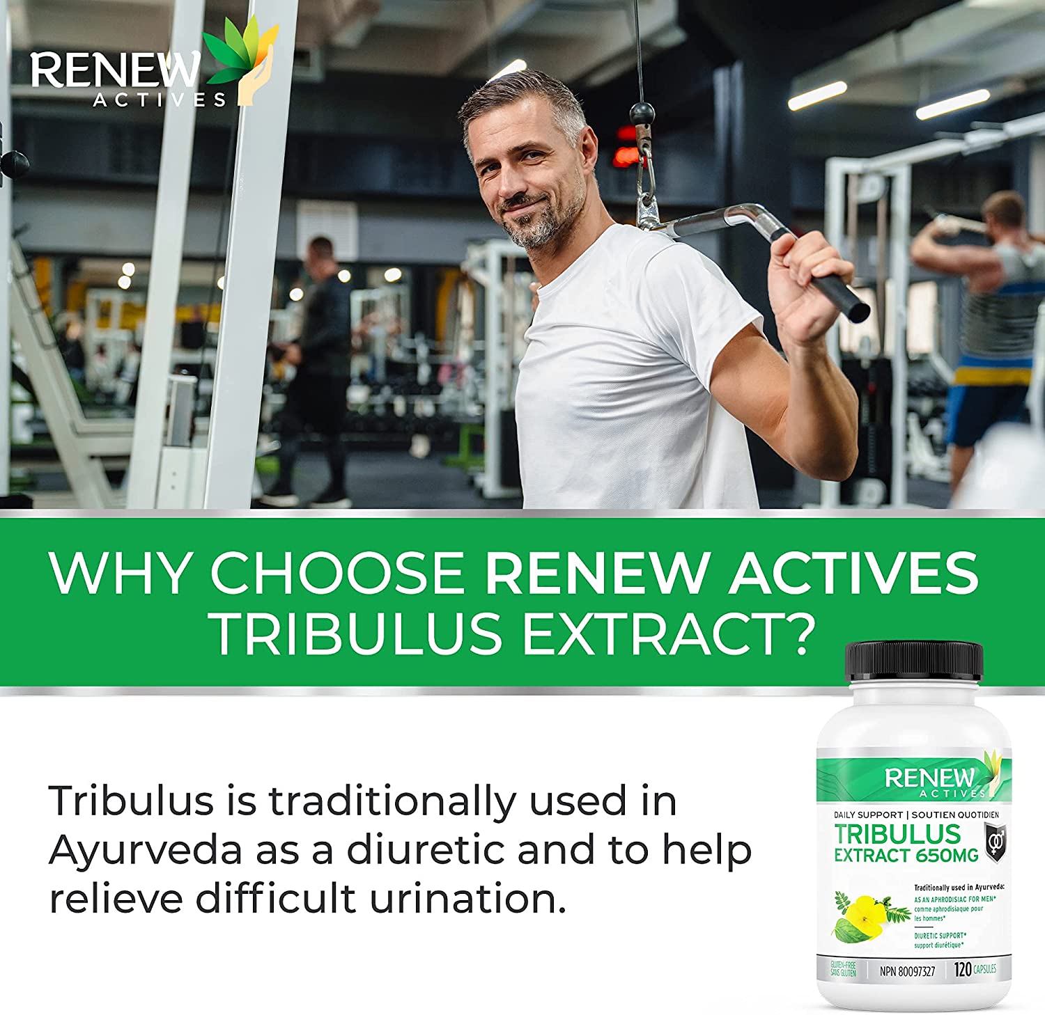 Renew Actives Tribulus Terrestris Extract: 1300mg Tribulus Powder Supplement with 45% Saponins