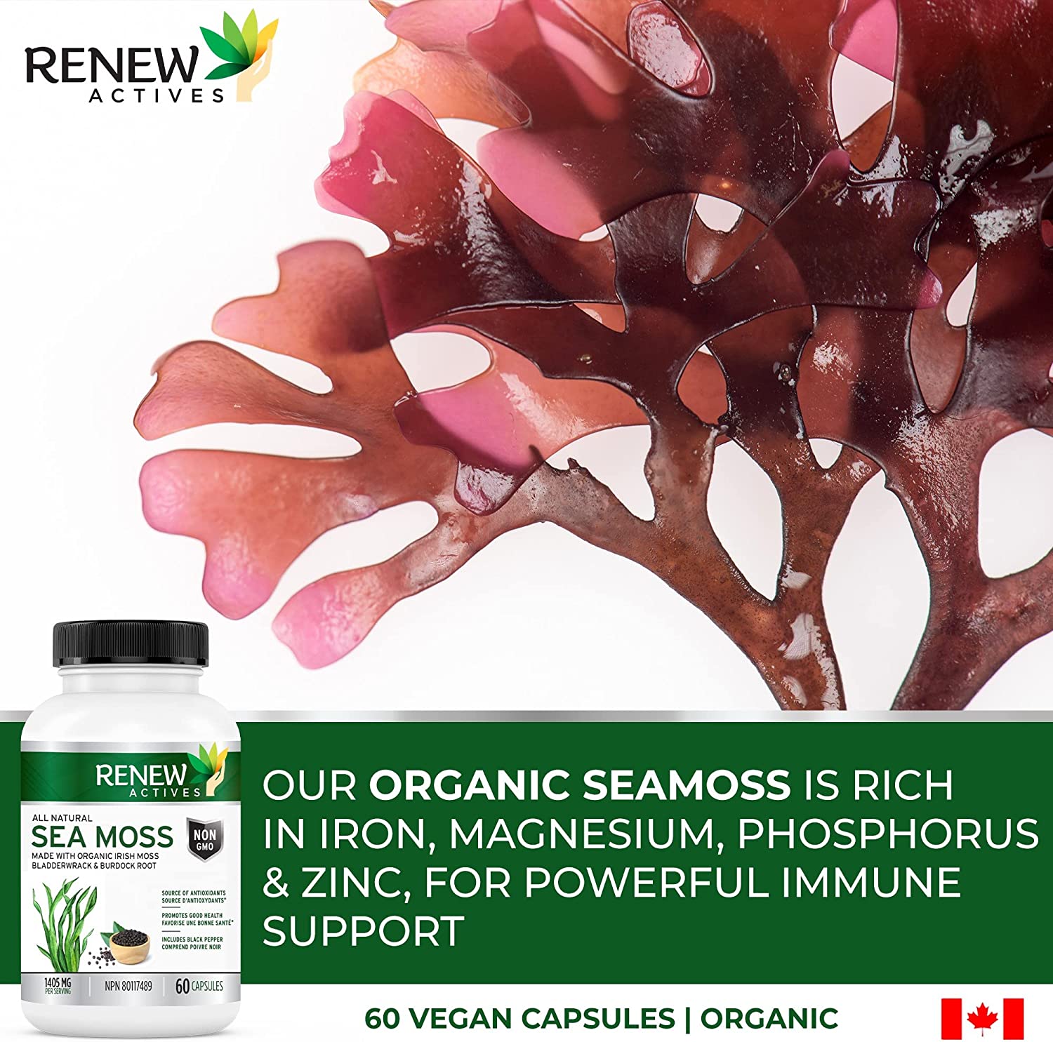 Renew Actives Sea Moss Capsules with BioPerine® for Max Absorption